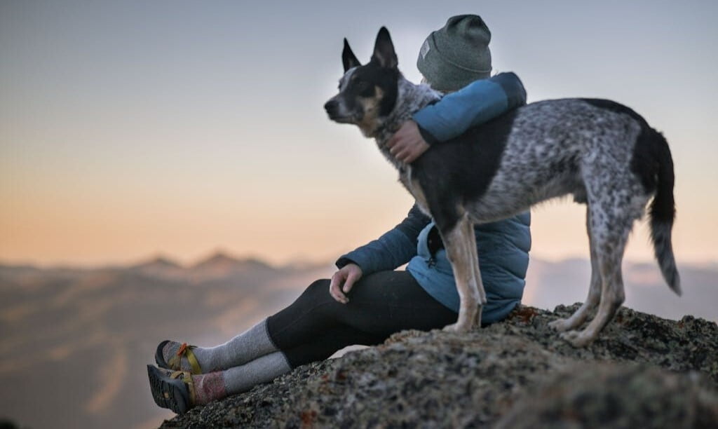 Side view of a person sitting on a rocky surface with their dog standing in the foreground and with mountains in the background